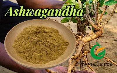 Ashwagandha 2 Ashwagandha 2