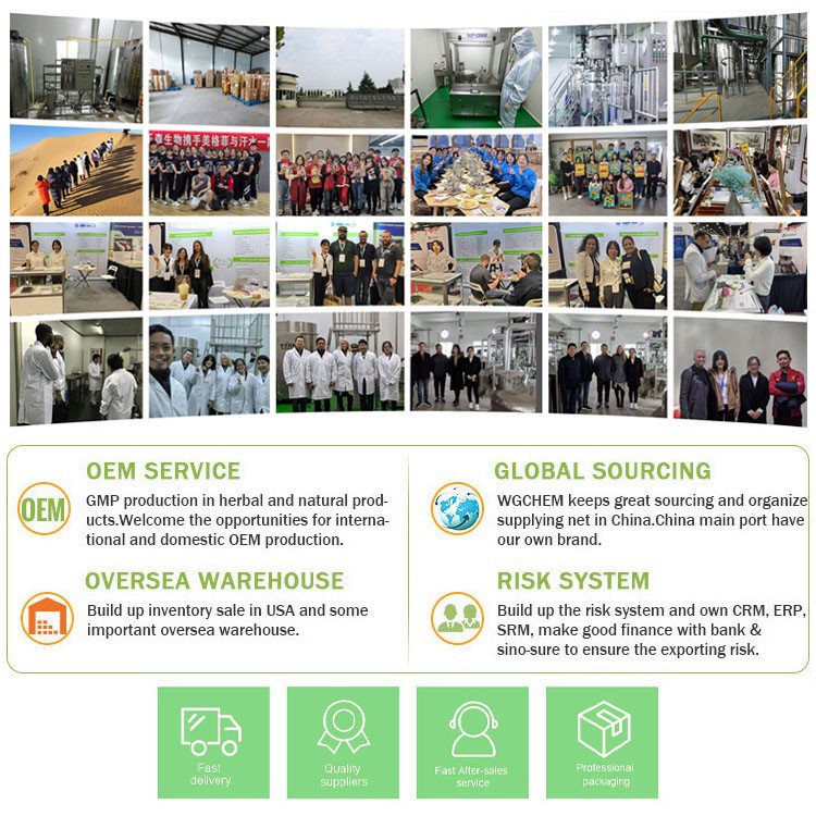 Customer factory inspection.jpg